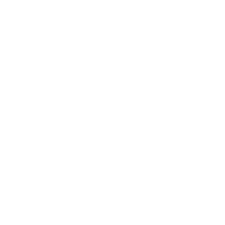933 ATA-300