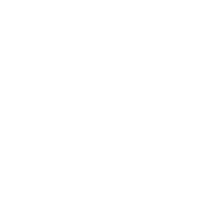FPD100833 SOLID-STATE-DRIVE